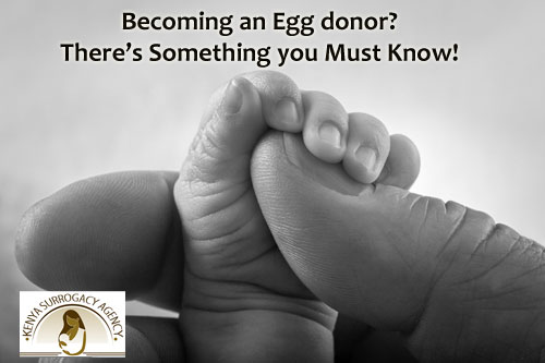 Becoming an Egg Donor