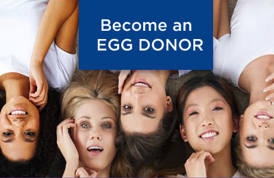 become an egg donor