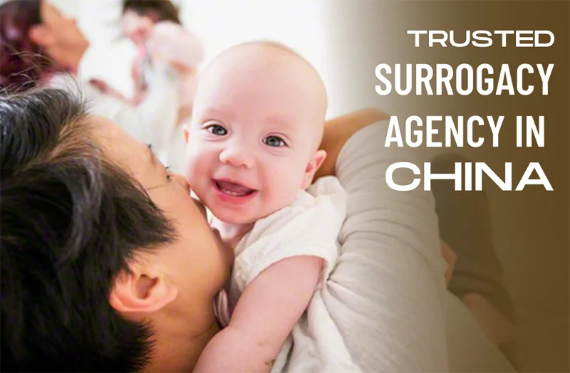 gay surrogacy in China